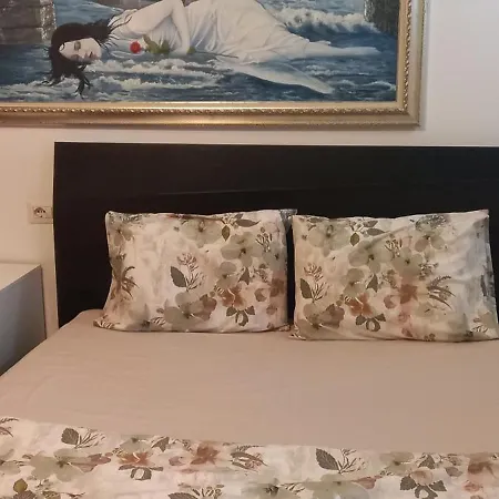 Guest house Seren